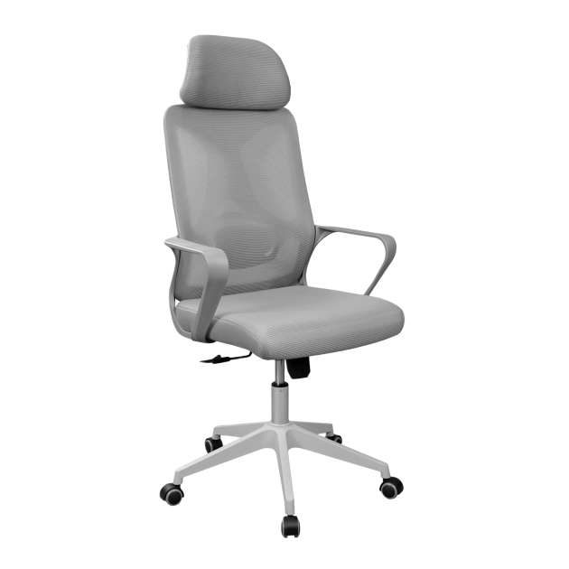 Fotoliu Birou F-20141 B Grey+Grey Frame