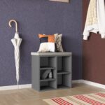 Tumba pentru incaltaminte Aspect (54x30x48H cm)
